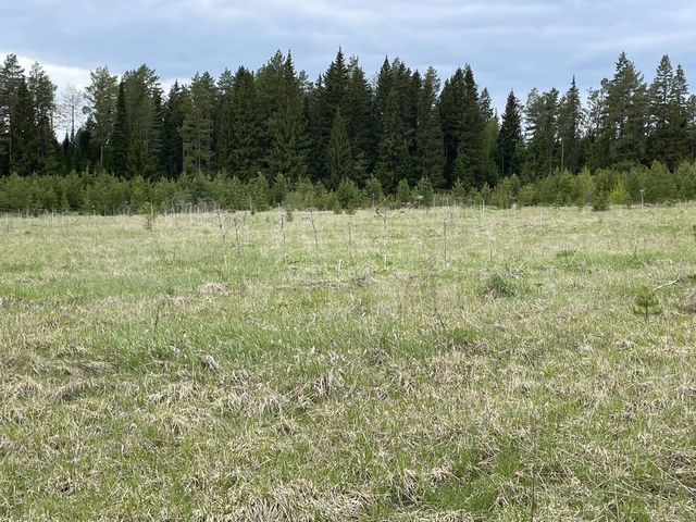 Участок 4,2 га (СНТ, ДНП)