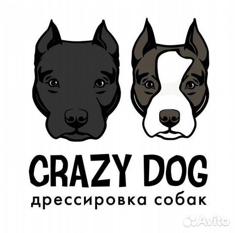 Дрессировка собак