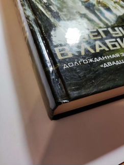 Книга Бегущий в лабиринте Джеймс Дэшнер