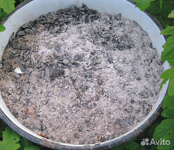 Зола древесная