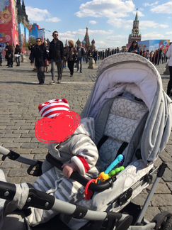 Коляска 2в1 Jedo Memo Alu