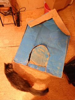 Домик для кошки/собаки