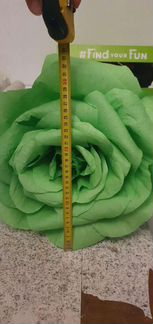 Зелёная роза для фотосессии