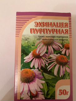 Эхинацея пурпурная