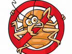 Уничтожение клопов тараканов Противовирусная обра