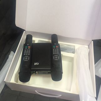 Караоке с микрофонами для дома AST-home