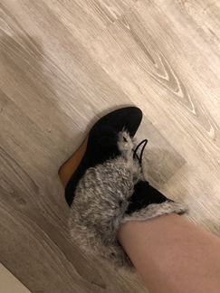 Сапоги зимние Vicini