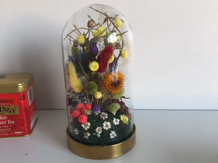 Флорариум клош