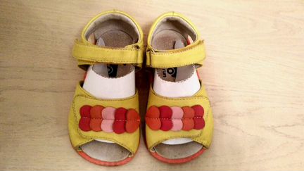 Pediped, See kai run