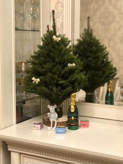 Елки из веточек сосны