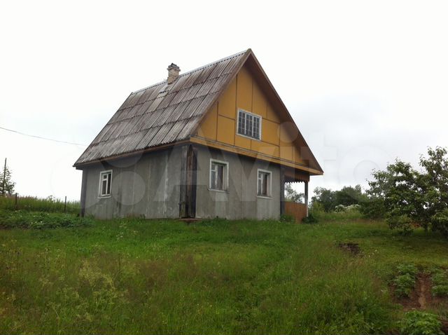 Фото В Поле На Даче
