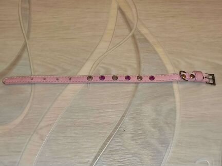 Ошейник для маленьких собак