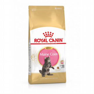 Royal Canin корм для котят Мейн-Кун 10 кг