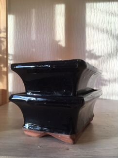 Бонсайницы, горшки, проволока для бонсай