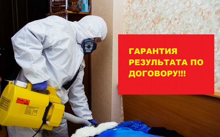 Уничтожение клопов, тараканов, муравьёв
