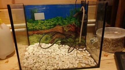 Аквариум на 25 литров