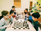 Педагог по шахматам в детский сад