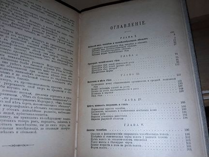 Ранке. Физические различия человеческих рас. 1903г