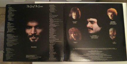 Винил. Gino Vannelli. LP