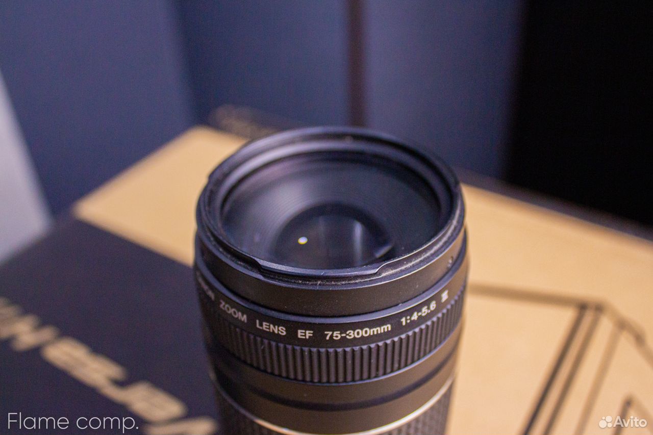 Объектив Canon Zoom Lens EF 75-300mm 1 4-5.6 III 89605438767 купить 3
