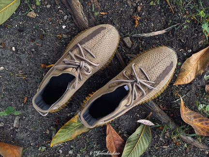 Yeezy Boost 350 V2 Earth