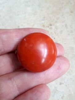 Коралл природный антик красный крупная брошь с кор