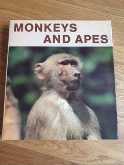Книга Monkeys and Apes, 1985 г