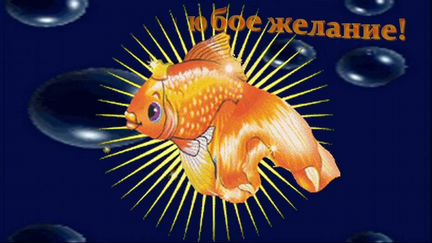 Видеоролики на заказ