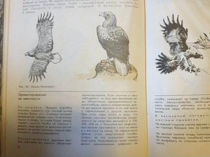 Справочник охотника