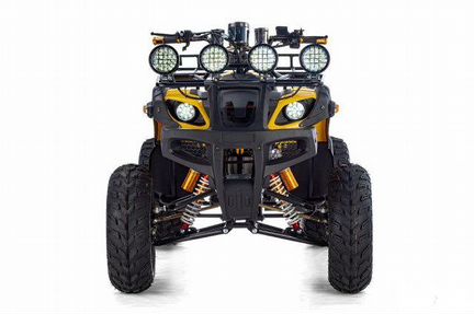Квадроцикл Raptor Max Pro 250